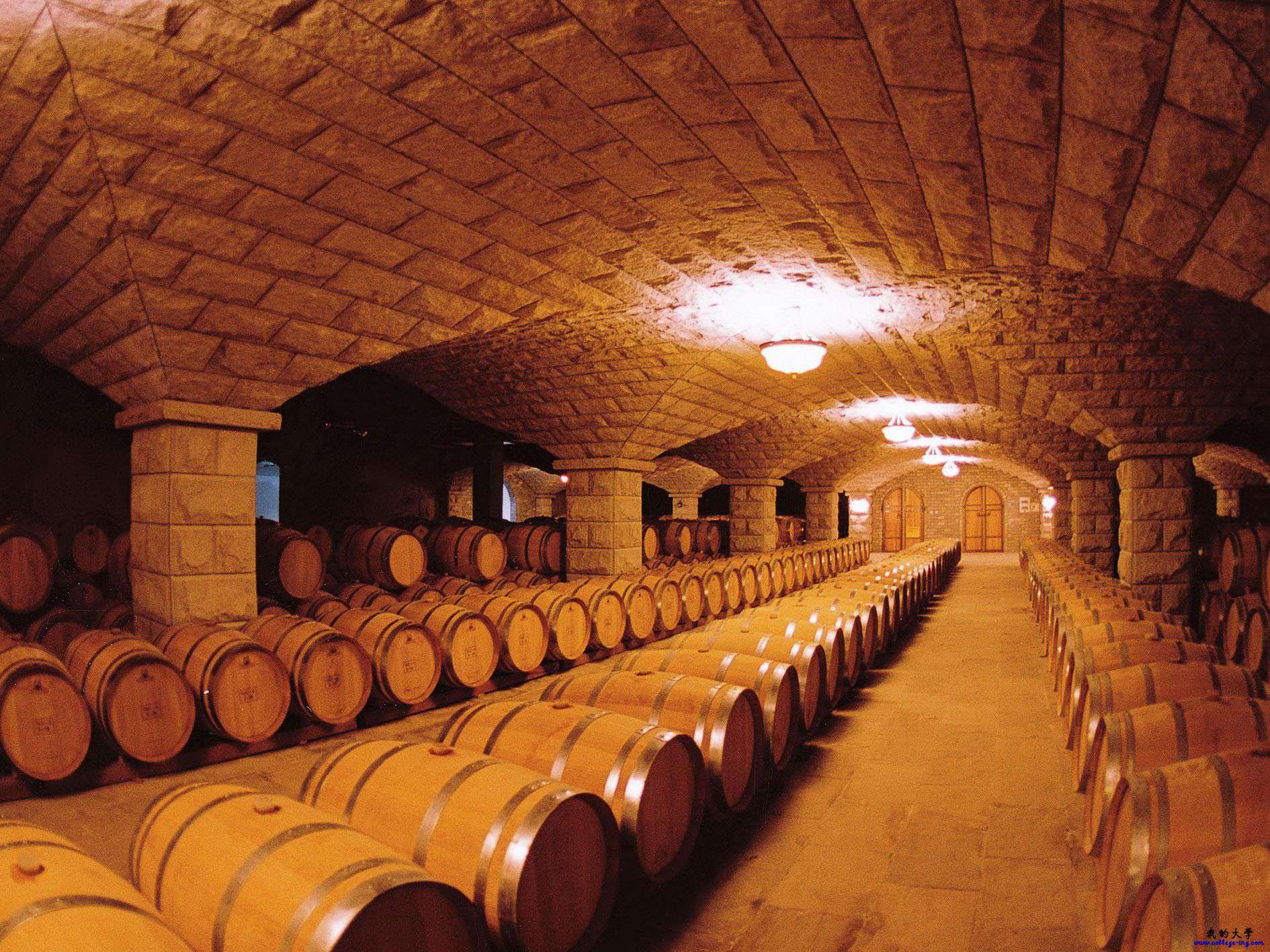 葡萄酒庄园地窖