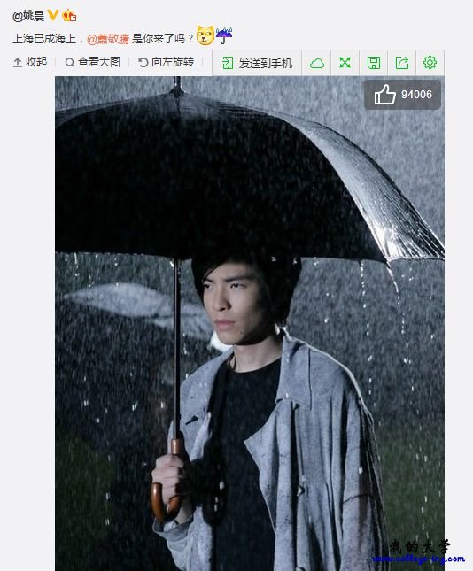 雨神萧敬腾在上海开演唱会吗